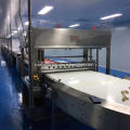 Customized White Food Grade Plastic Belt Conveyor System
